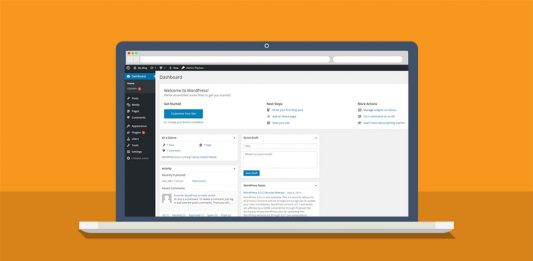 Customize the WordPress dashboard with plugins