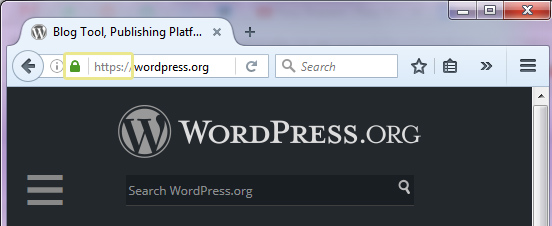 Browser using https