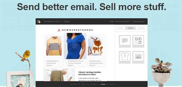 mailchimp newsletter solution for WordPress