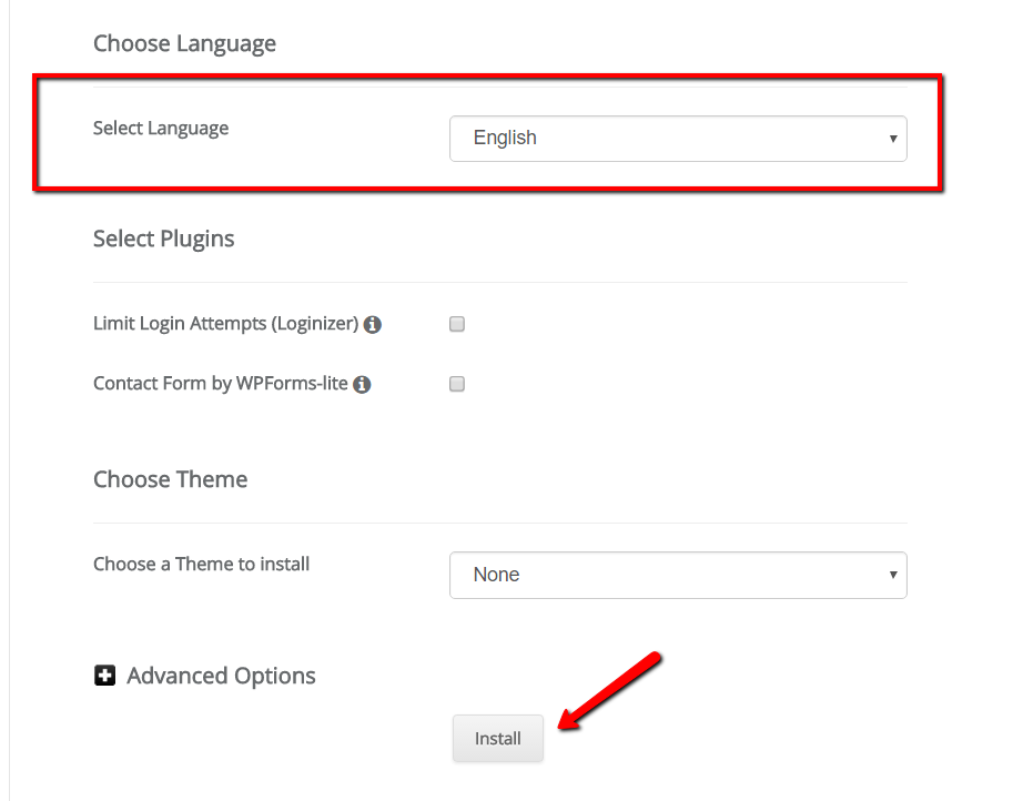 WordPress oneclick installer language selection and advanced options