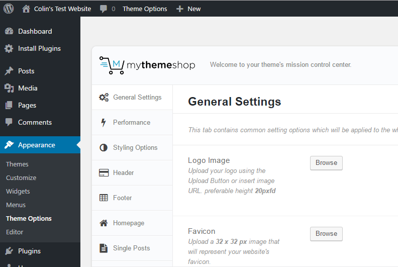 WordPress theme options panel example